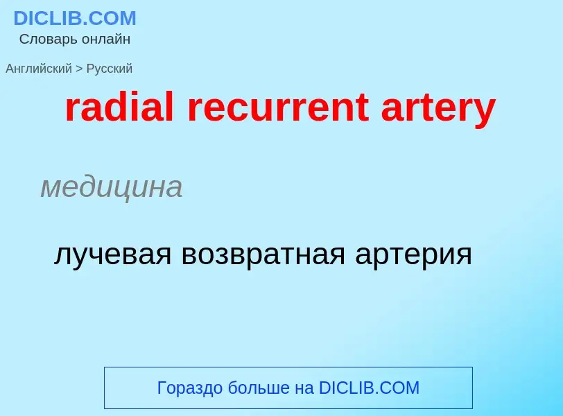 ¿Cómo se dice radial recurrent artery en Ruso? Traducción de &#39radial recurrent artery&#39 al Ruso