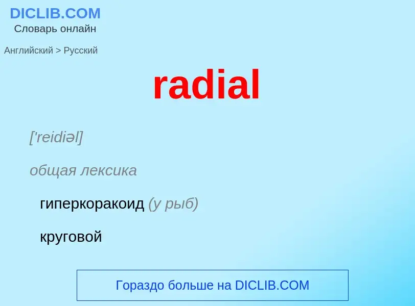 ¿Cómo se dice radial en Ruso? Traducción de &#39radial&#39 al Ruso