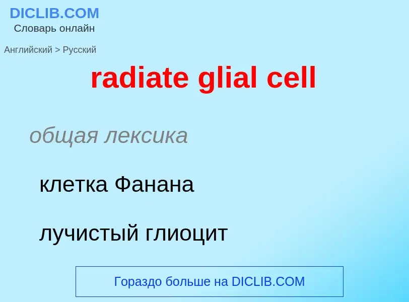 ¿Cómo se dice radiate glial cell en Ruso? Traducción de &#39radiate glial cell&#39 al Ruso