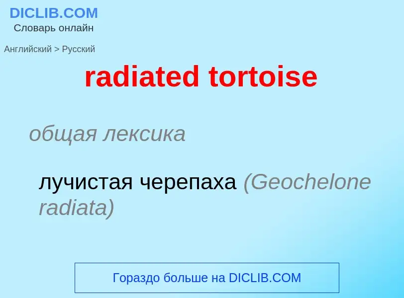 ¿Cómo se dice radiated tortoise en Ruso? Traducción de &#39radiated tortoise&#39 al Ruso