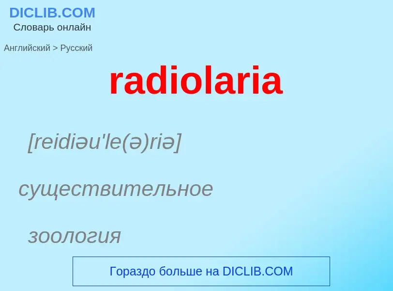 ¿Cómo se dice radiolaria en Ruso? Traducción de &#39radiolaria&#39 al Ruso