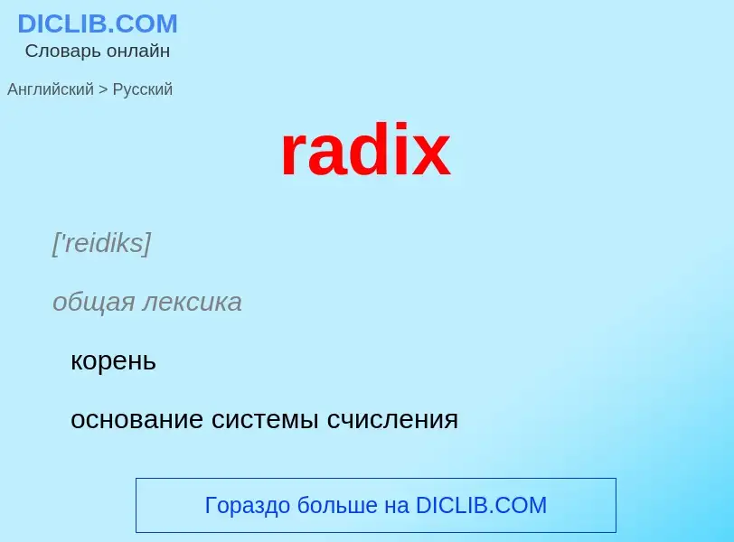 Как переводится radix на Русский язык