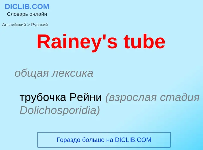 ¿Cómo se dice Rainey's tube en Ruso? Traducción de &#39Rainey's tube&#39 al Ruso