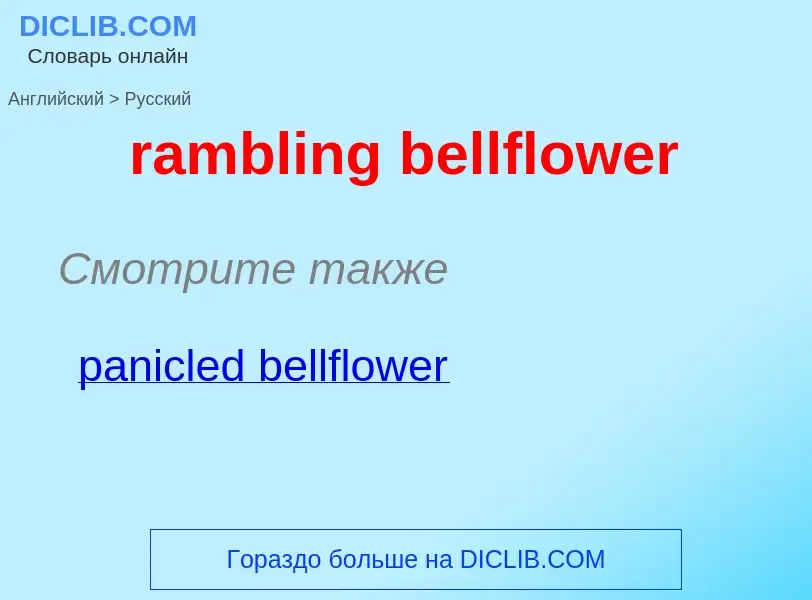 Vertaling van &#39rambling bellflower&#39 naar Russisch