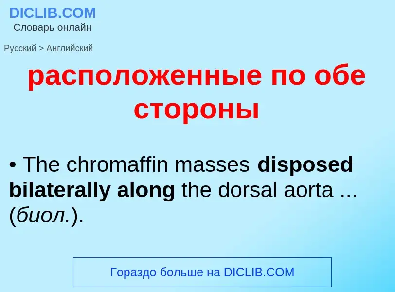 Как переводится расположенные по обе стороны на Английский язык