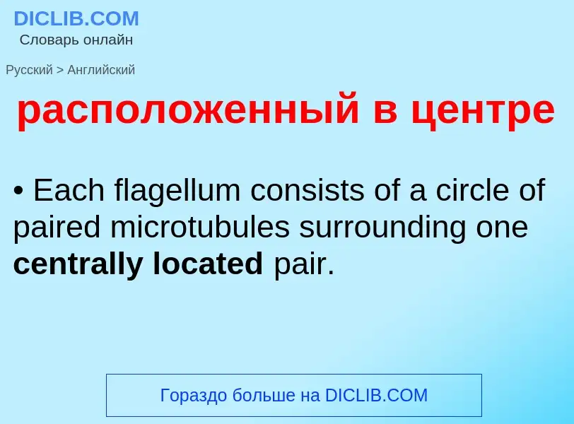 Как переводится расположенный в центре на Английский язык