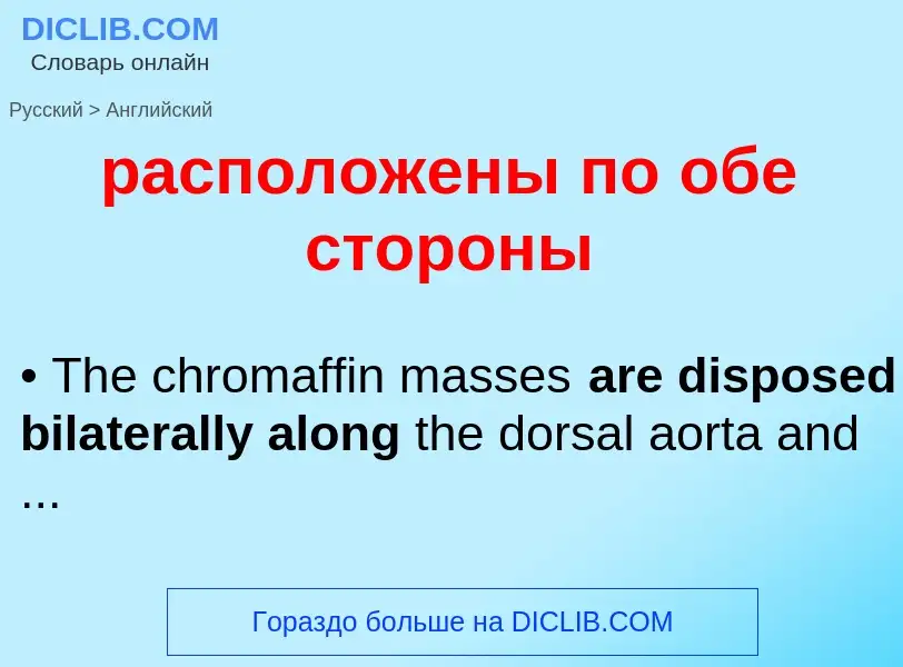 Как переводится расположены по обе стороны на Английский язык