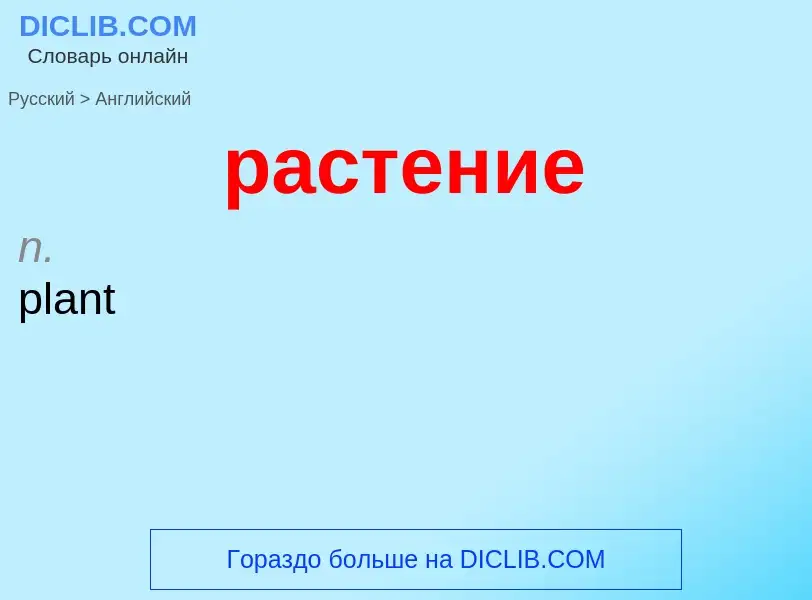 Как переводится растение на Английский язык