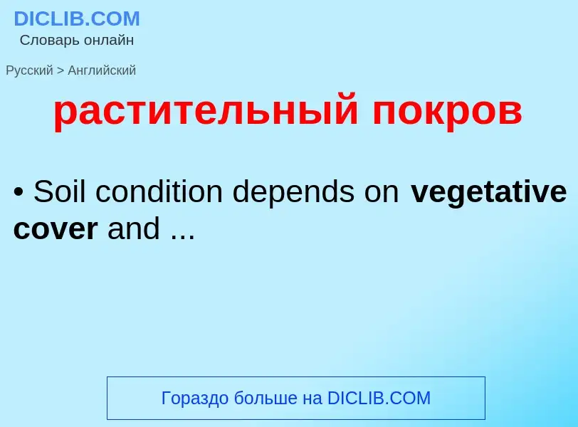 Как переводится растительный покров на Английский язык