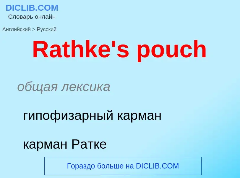 Как переводится Rathke's pouch на Русский язык