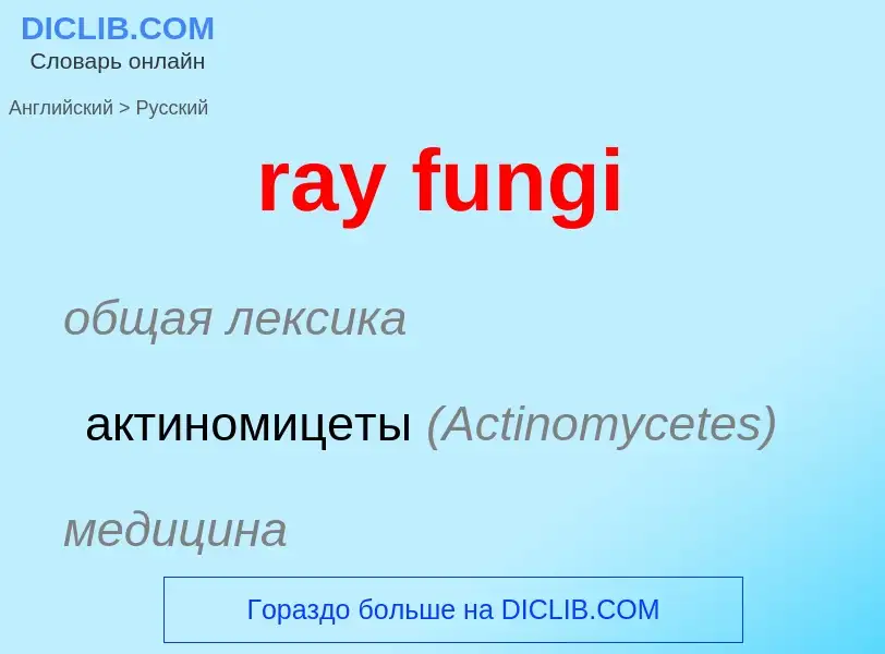 Traduction de &#39ray fungi&#39 en Russe