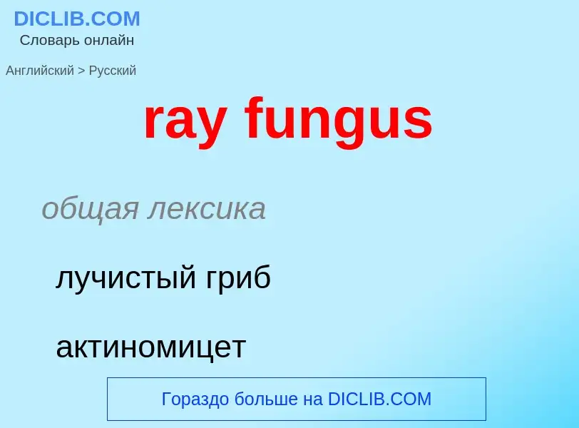 Μετάφραση του &#39ray fungus&#39 σε Ρωσικά