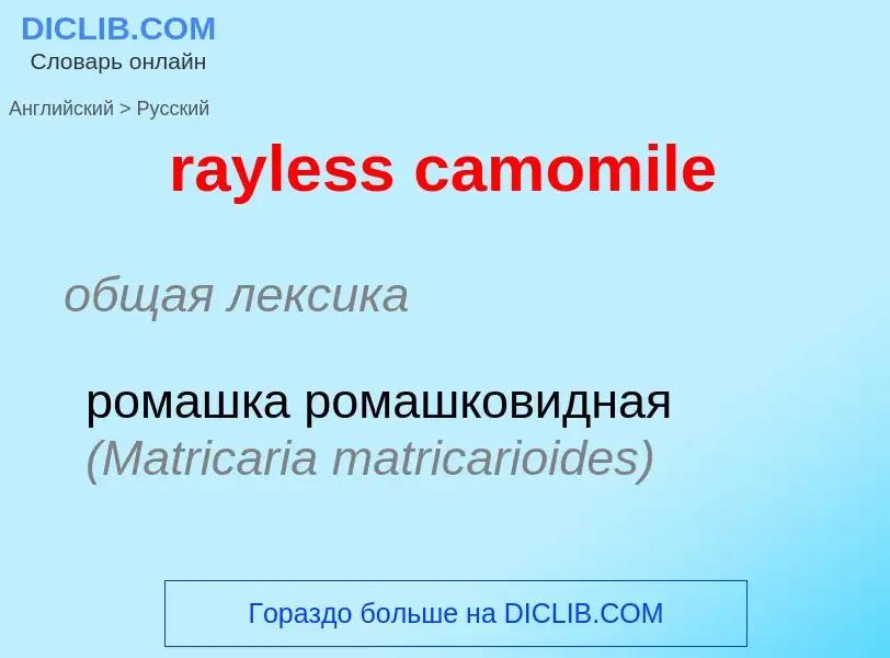 Vertaling van &#39rayless camomile&#39 naar Russisch