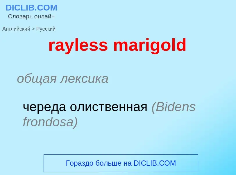 What is the Russian for rayless marigold? Translation of &#39rayless marigold&#39 to Russian