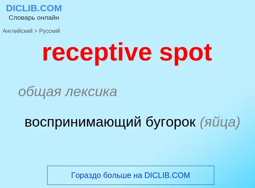 What is the Russian for receptive spot? Translation of &#39receptive spot&#39 to Russian