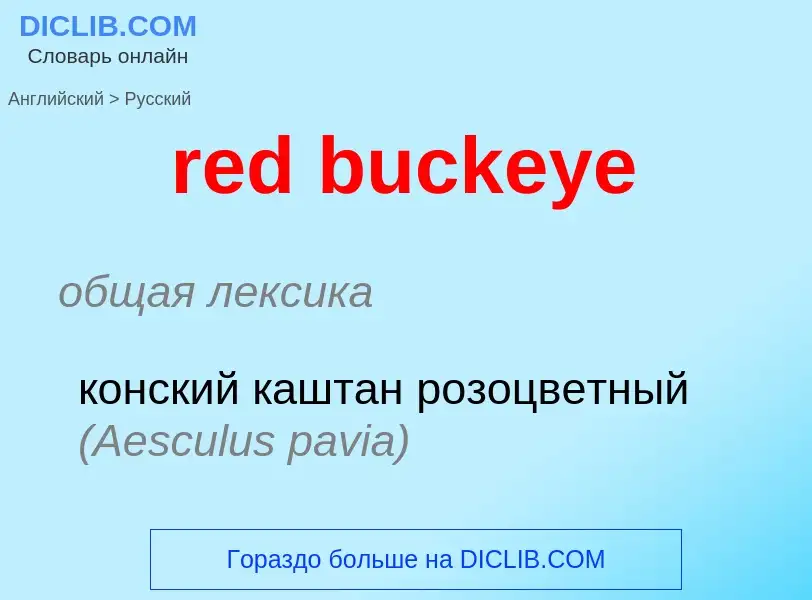 What is the Russian for red buckeye? Translation of &#39red buckeye&#39 to Russian