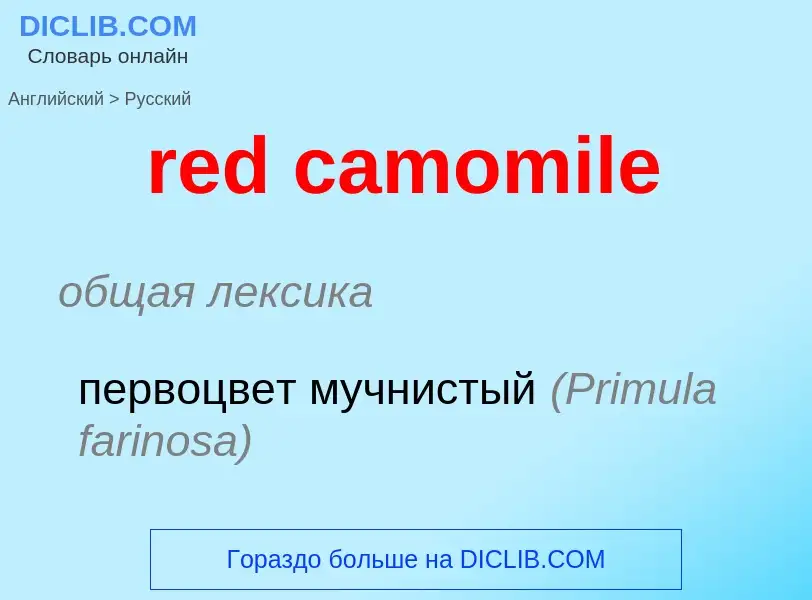 Vertaling van &#39red camomile&#39 naar Russisch