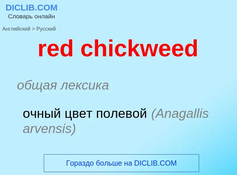 Vertaling van &#39red chickweed&#39 naar Russisch