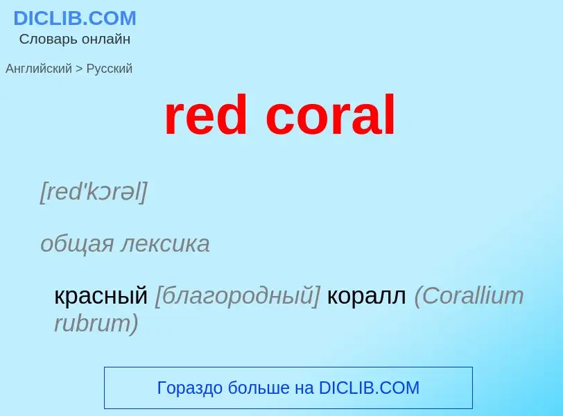 ¿Cómo se dice red coral en Ruso? Traducción de &#39red coral&#39 al Ruso