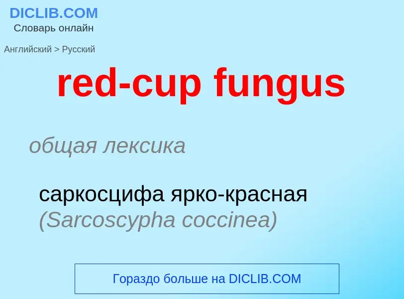 Μετάφραση του &#39red-cup fungus&#39 σε Ρωσικά