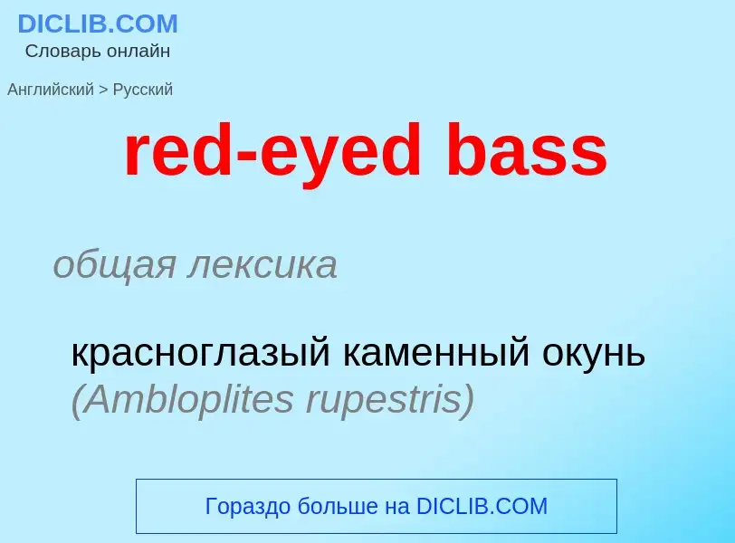 Как переводится red-eyed bass на Русский язык