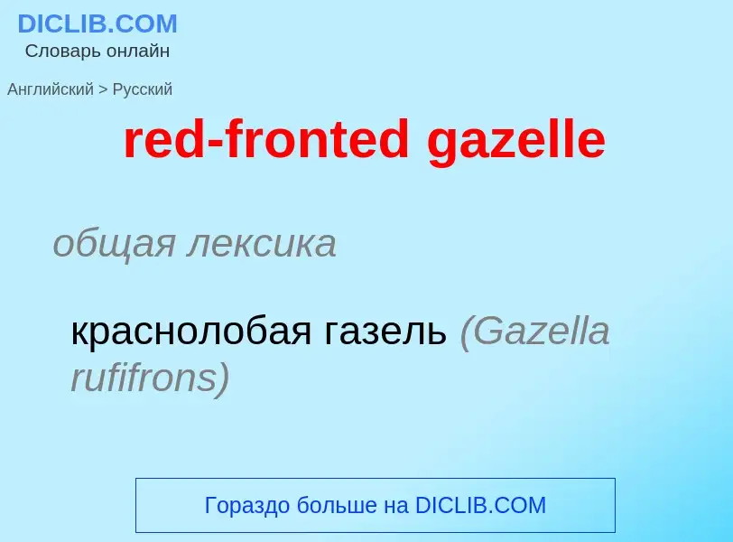 Μετάφραση του &#39red-fronted gazelle&#39 σε Ρωσικά