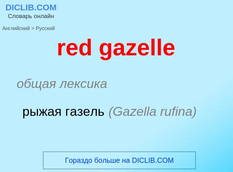 What is the Russian for red gazelle? Translation of &#39red gazelle&#39 to Russian