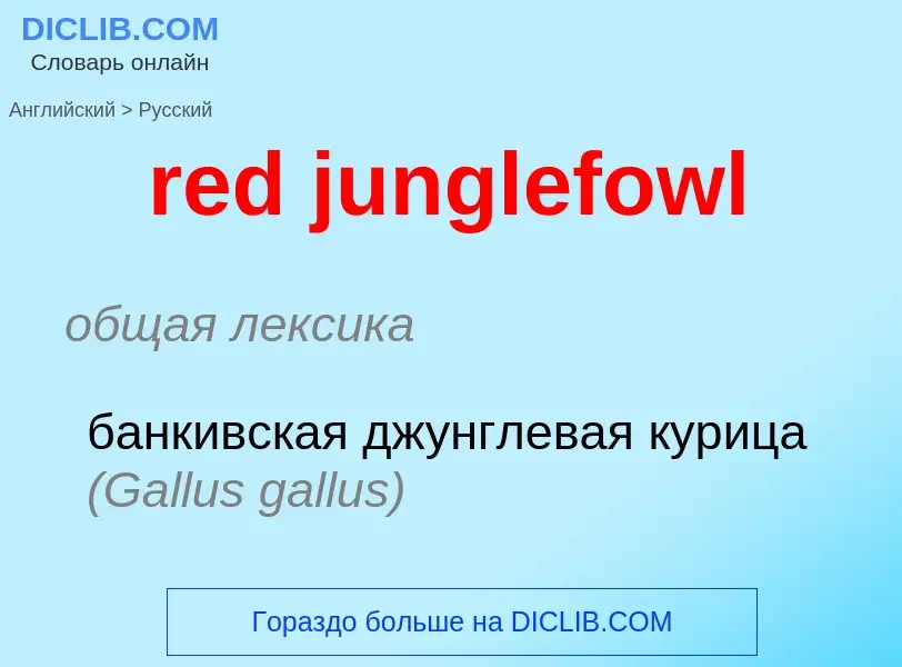 Μετάφραση του &#39red junglefowl&#39 σε Ρωσικά