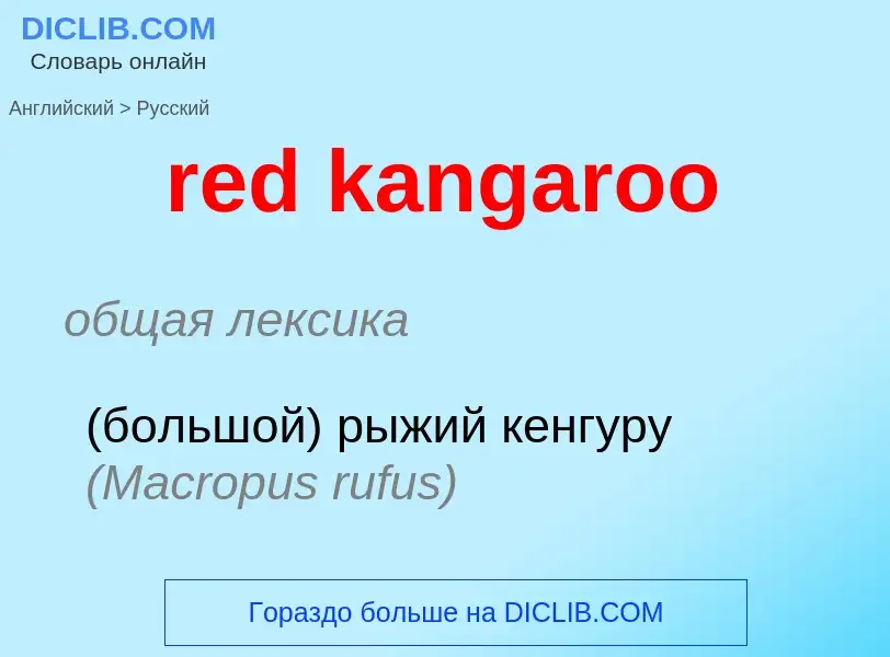 Μετάφραση του &#39red kangaroo&#39 σε Ρωσικά