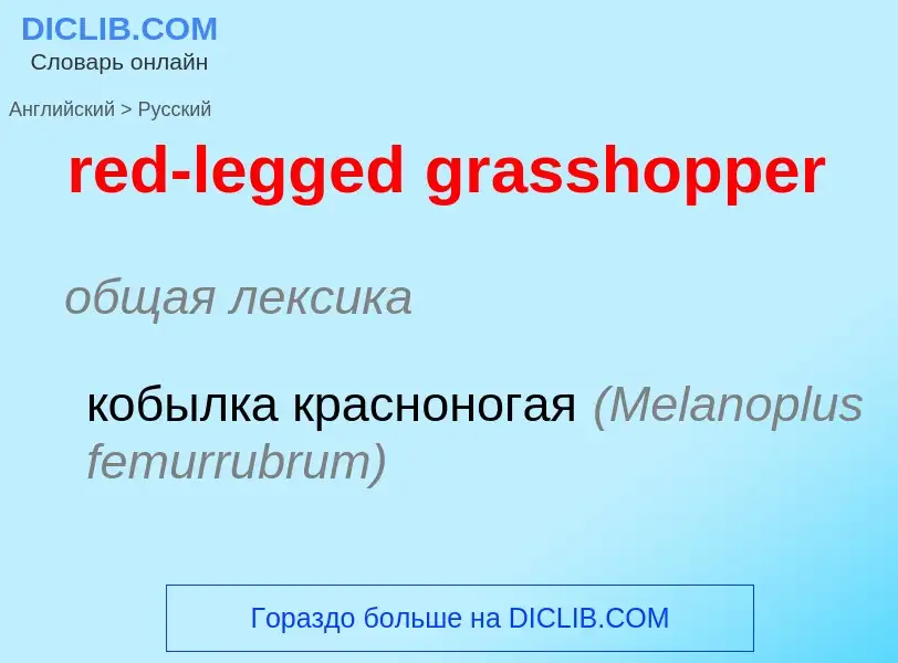 Как переводится red-legged grasshopper на Русский язык