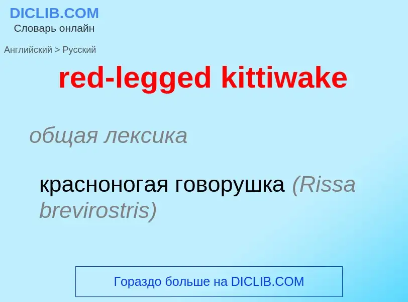 Как переводится red-legged kittiwake на Русский язык