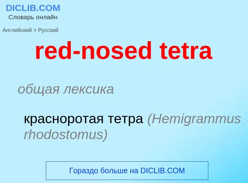 Как переводится red-nosed tetra на Русский язык