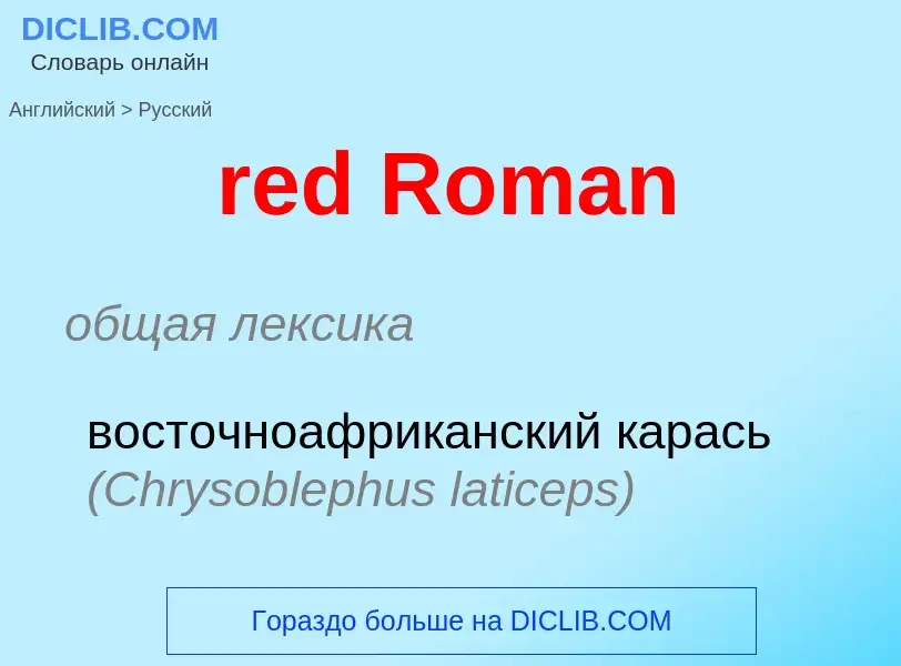 ¿Cómo se dice red Roman en Ruso? Traducción de &#39red Roman&#39 al Ruso