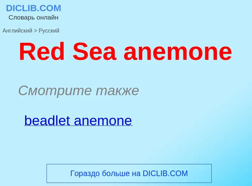 ¿Cómo se dice Red Sea anemone en Ruso? Traducción de &#39Red Sea anemone&#39 al Ruso