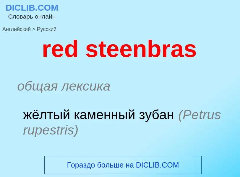 Como se diz red steenbras em Russo? Tradução de &#39red steenbras&#39 em Russo