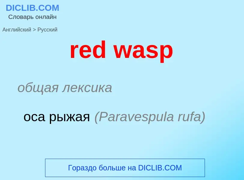 What is the Russian for red wasp? Translation of &#39red wasp&#39 to Russian