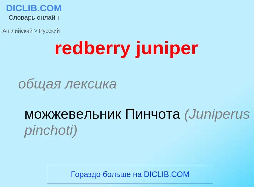 Как переводится redberry juniper на Русский язык