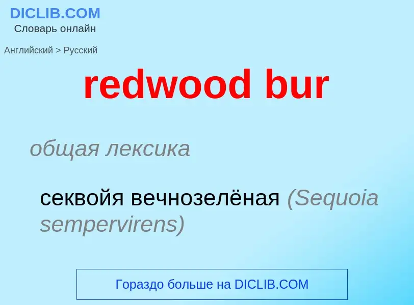 Como se diz redwood bur em Russo? Tradução de &#39redwood bur&#39 em Russo