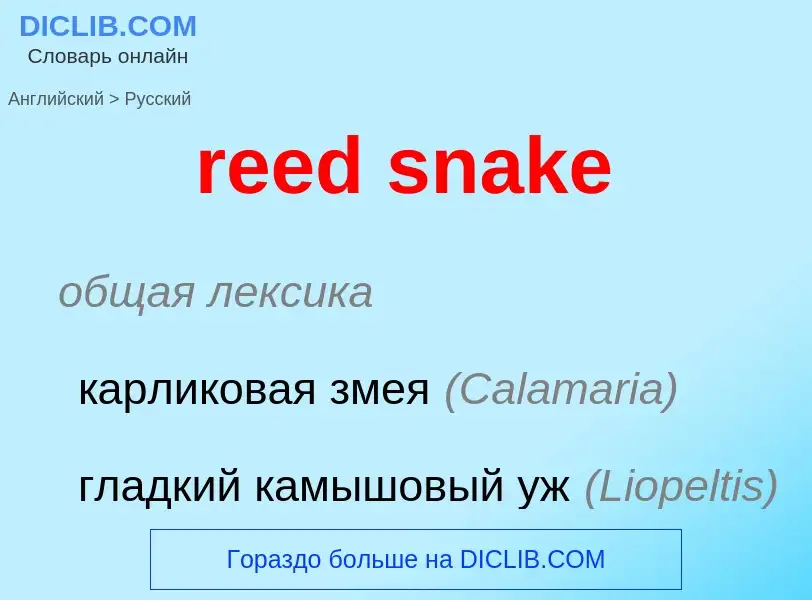 Vertaling van &#39reed snake&#39 naar Russisch