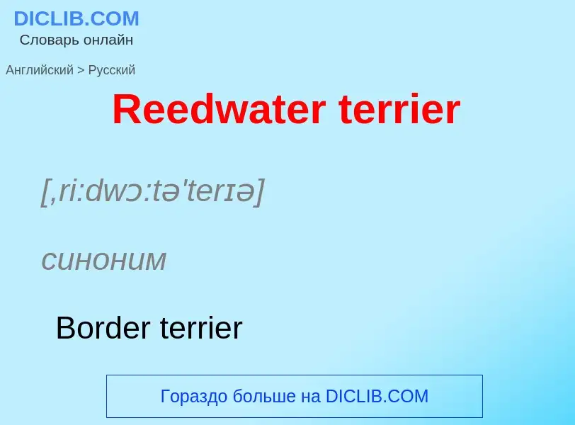 ¿Cómo se dice Reedwater terrier en Ruso? Traducción de &#39Reedwater terrier&#39 al Ruso