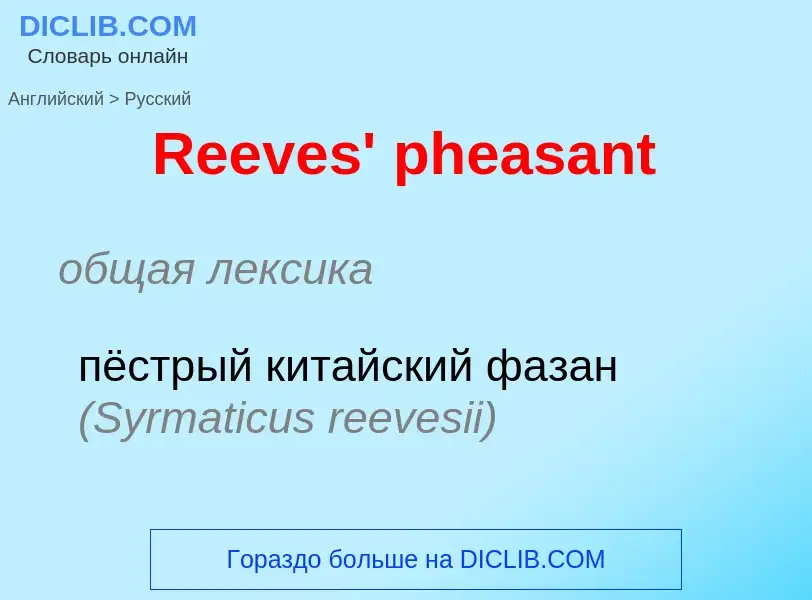 ¿Cómo se dice Reeves' pheasant en Ruso? Traducción de &#39Reeves' pheasant&#39 al Ruso