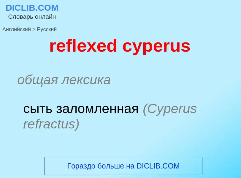 Как переводится reflexed cyperus на Русский язык