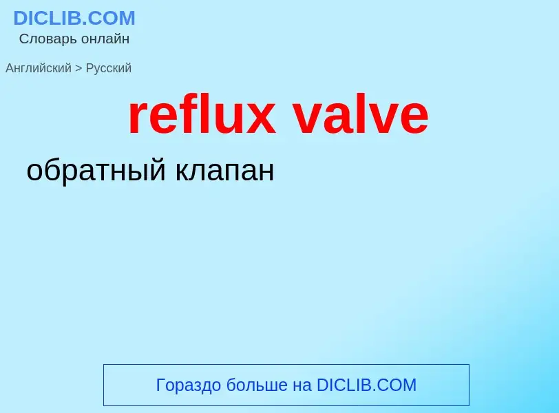 Как переводится reflux valve на Русский язык