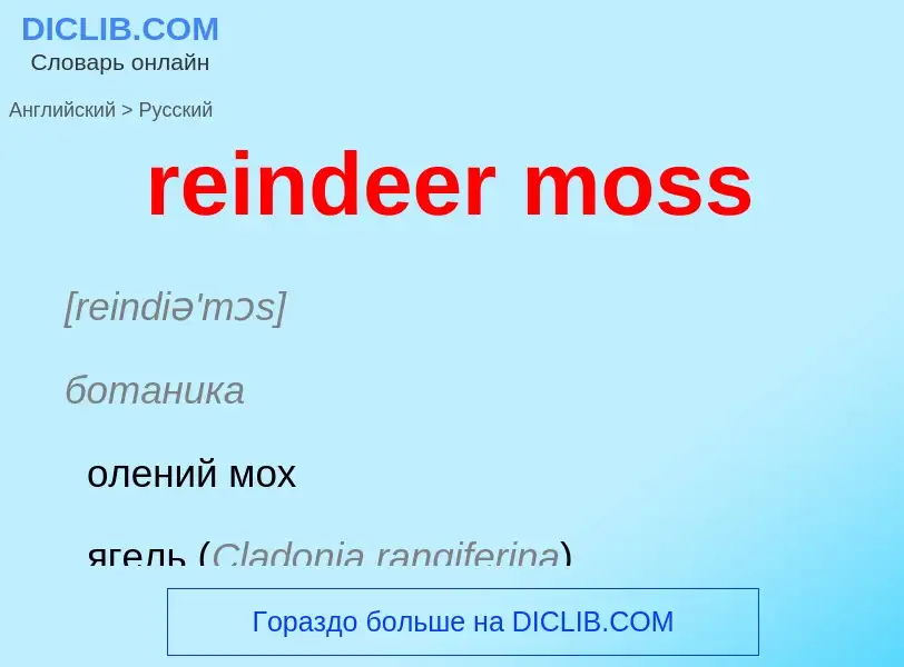 Как переводится reindeer moss на Русский язык