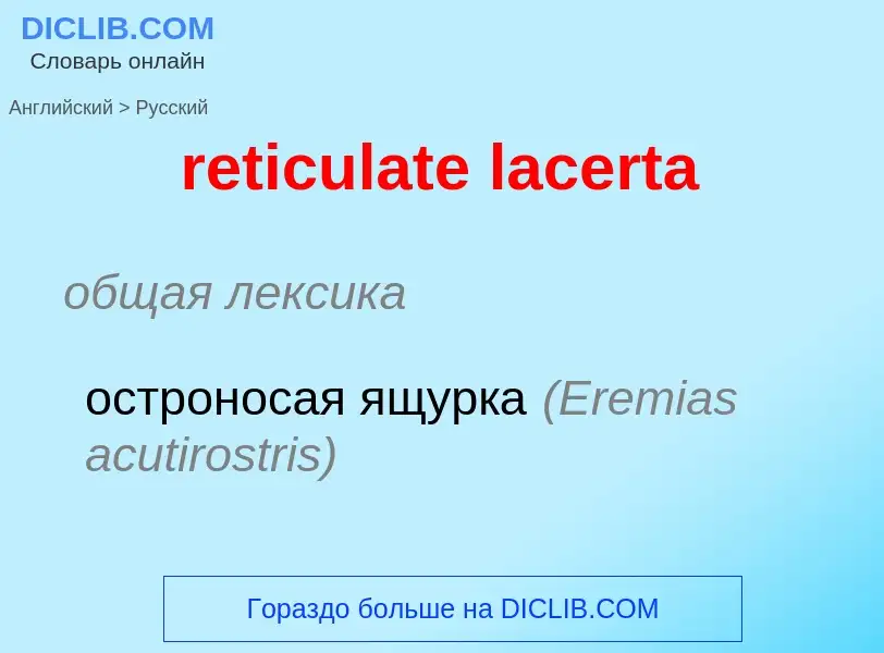 Übersetzung von &#39reticulate lacerta&#39 in Russisch