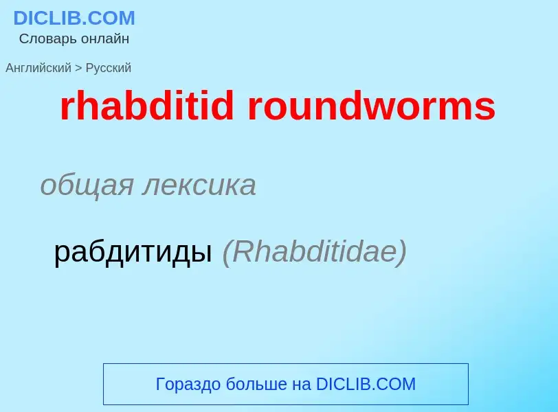 ¿Cómo se dice rhabditid roundworms en Ruso? Traducción de &#39rhabditid roundworms&#39 al Ruso