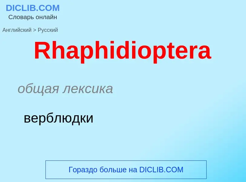 ¿Cómo se dice Rhaphidioptera en Ruso? Traducción de &#39Rhaphidioptera&#39 al Ruso