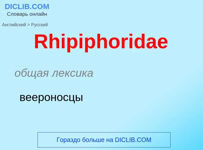 ¿Cómo se dice Rhipiphoridae en Ruso? Traducción de &#39Rhipiphoridae&#39 al Ruso