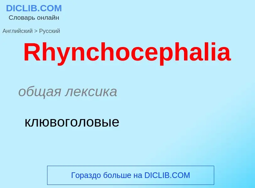 ¿Cómo se dice Rhynchocephalia en Ruso? Traducción de &#39Rhynchocephalia&#39 al Ruso