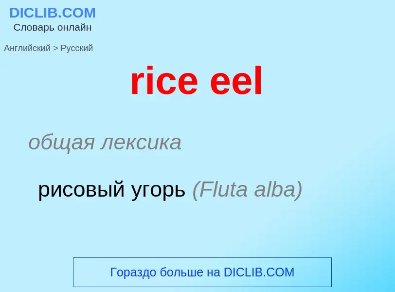 Como se diz rice eel em Russo? Tradução de &#39rice eel&#39 em Russo